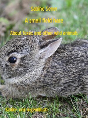 cover image of A small field hare